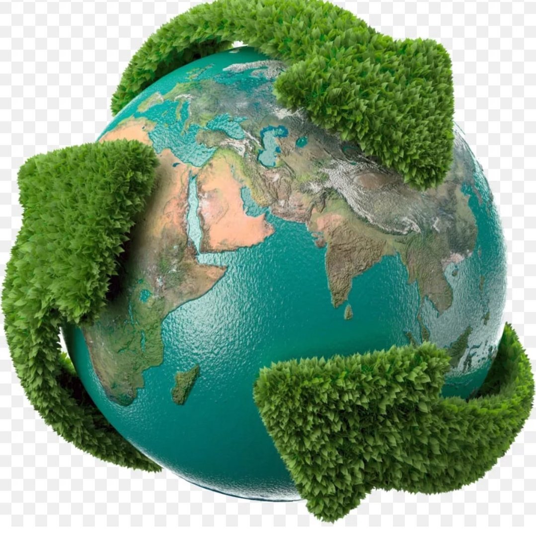 Экология мусор