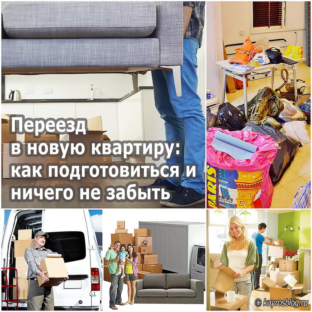 Переезд смешные картинки