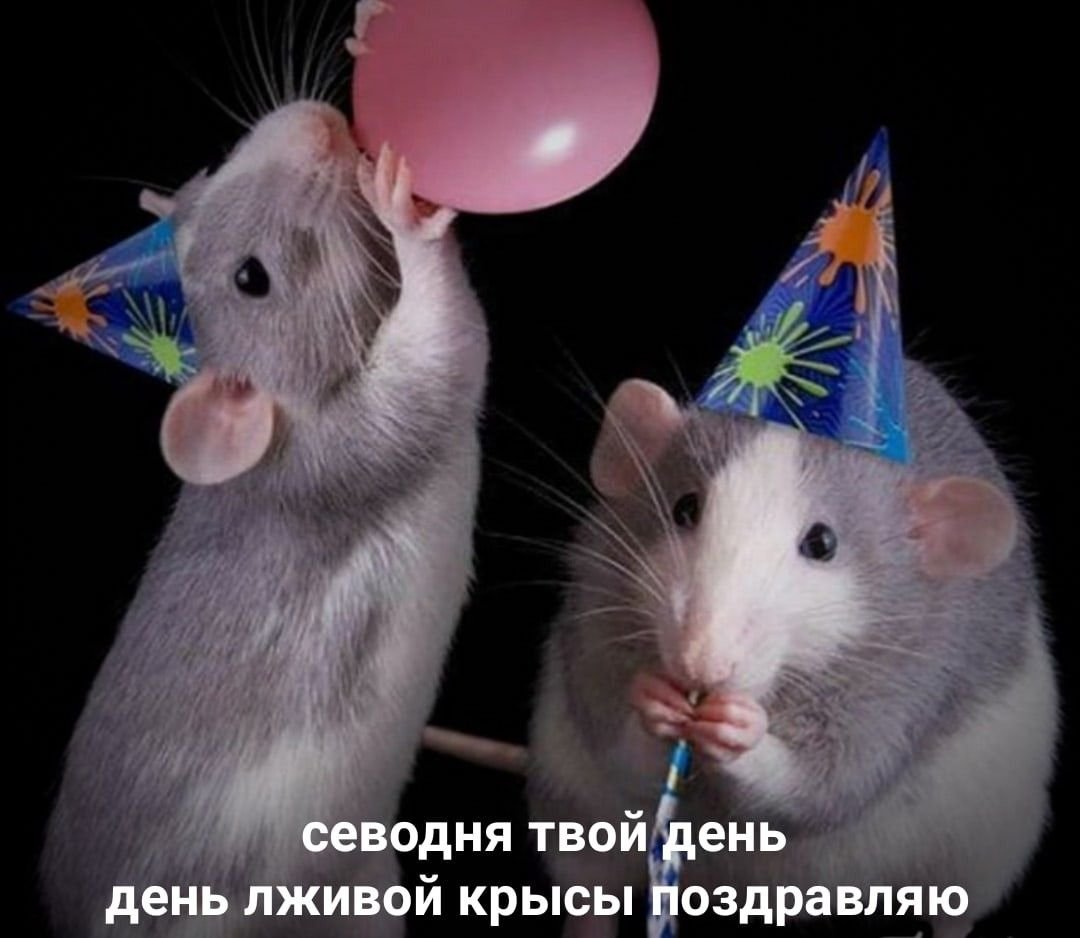Праздничная мышь
