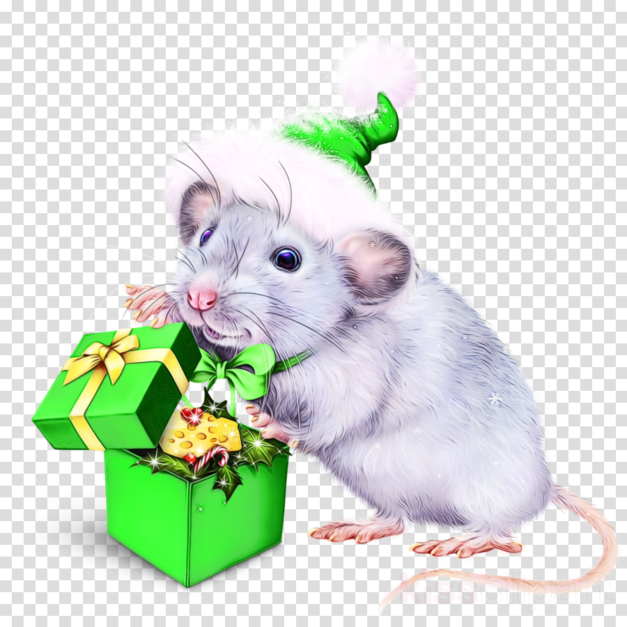 Год мыши 2020