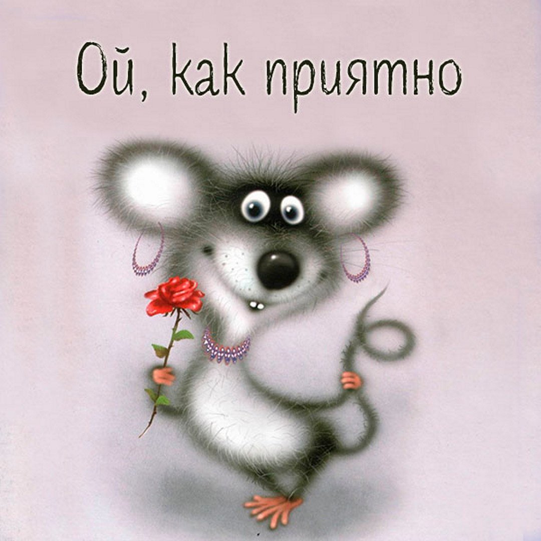 Открытки с днём рождения с мышкой