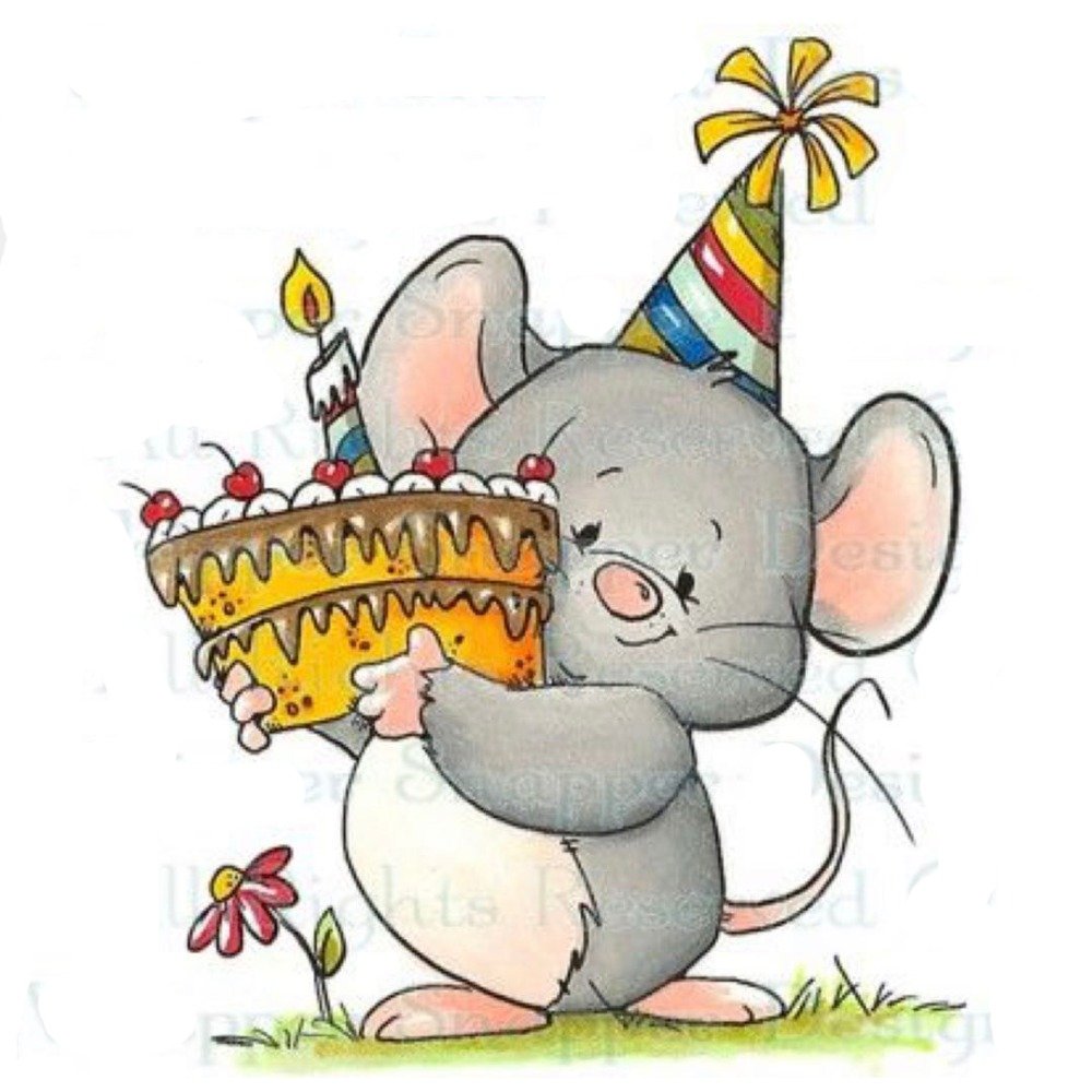 С днем рождения мышка