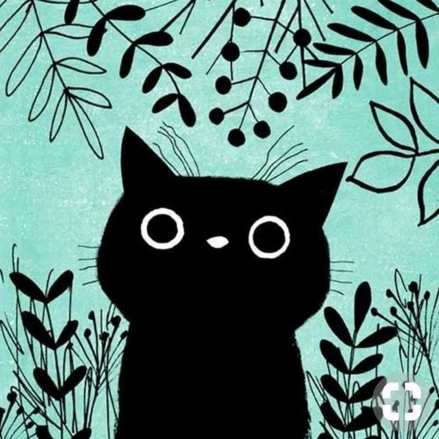 Котики из пинтереста черные