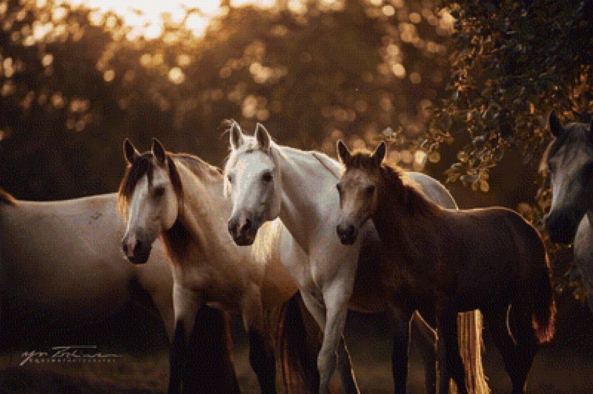 Лошади Эстетика