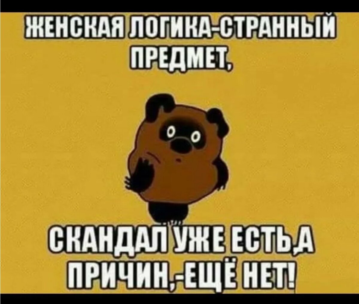 Логика девушек странный предмет