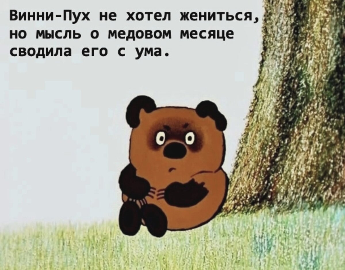 Винни пух фильм 1969