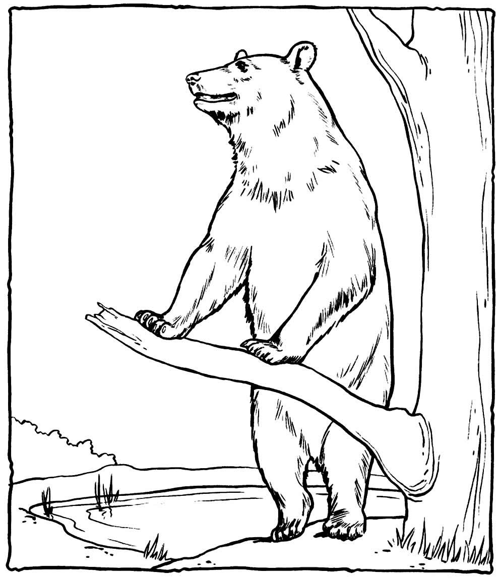 Три товарища Осеева