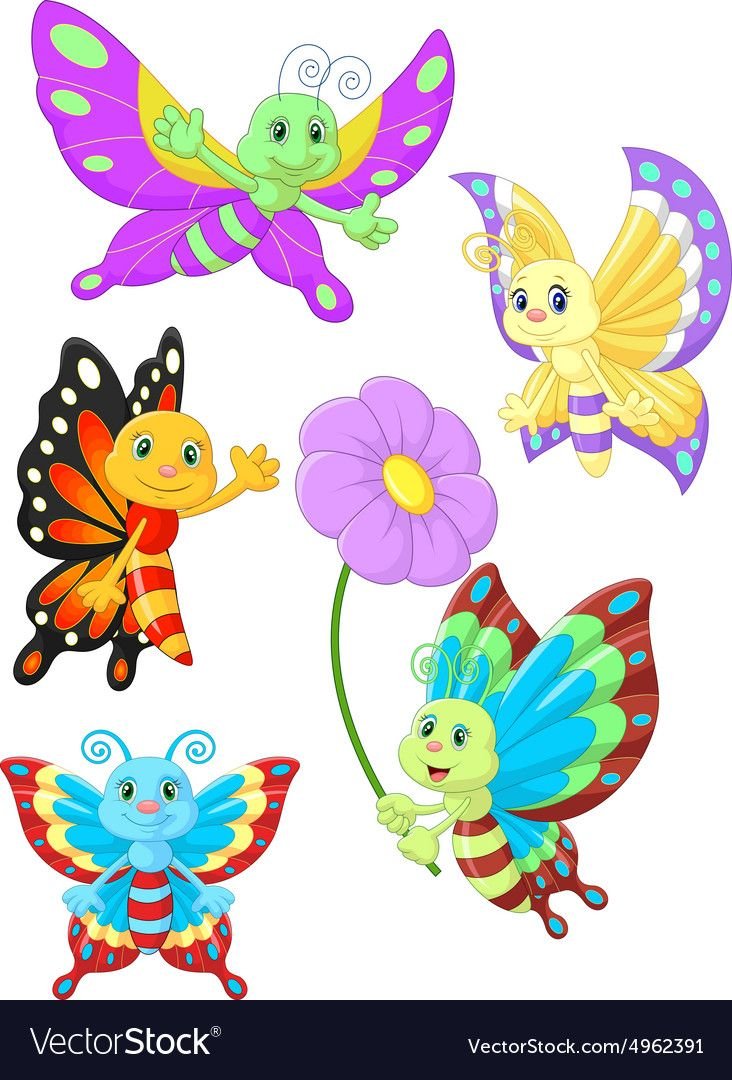 Мордочка бабочки рисунок