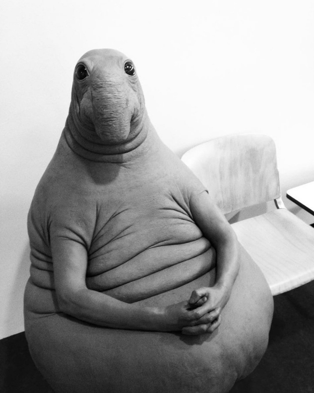 Веселые афоризмы на каждый день