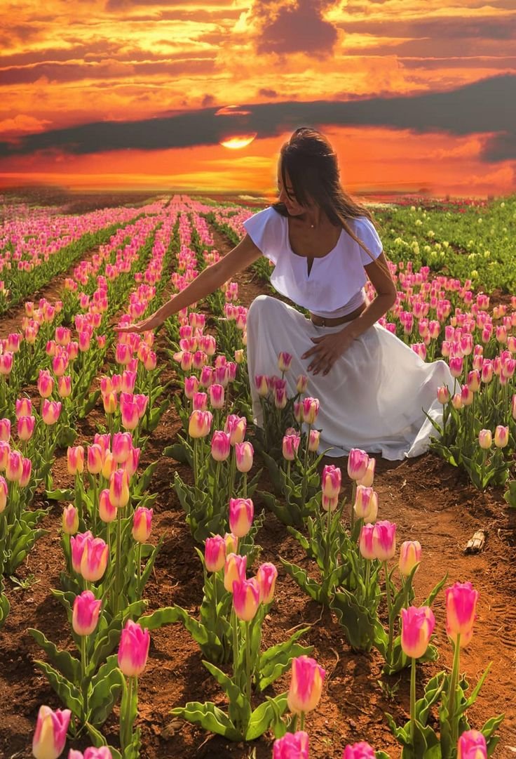 Благословенной ночи