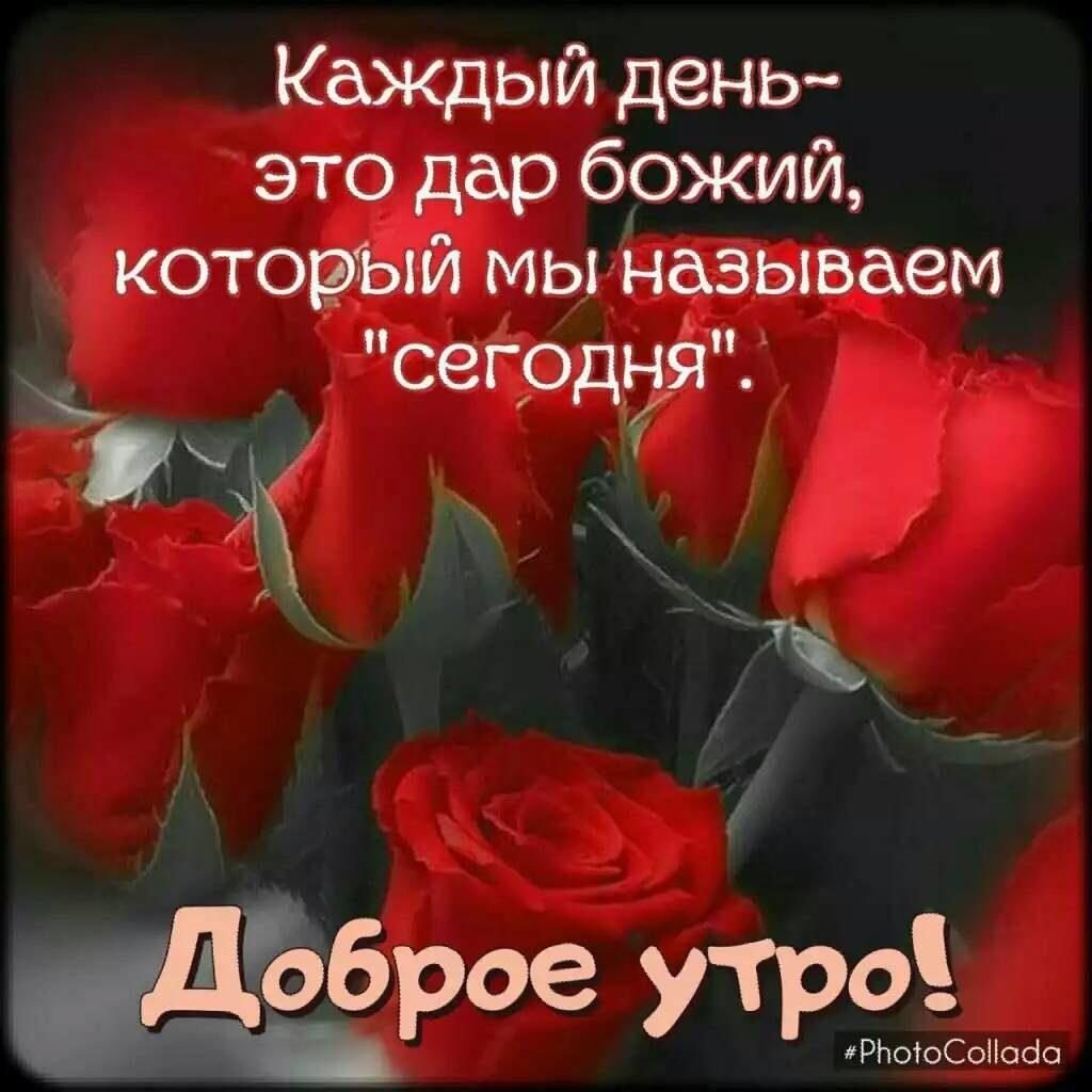 Доброго вечера и спокойной ночи