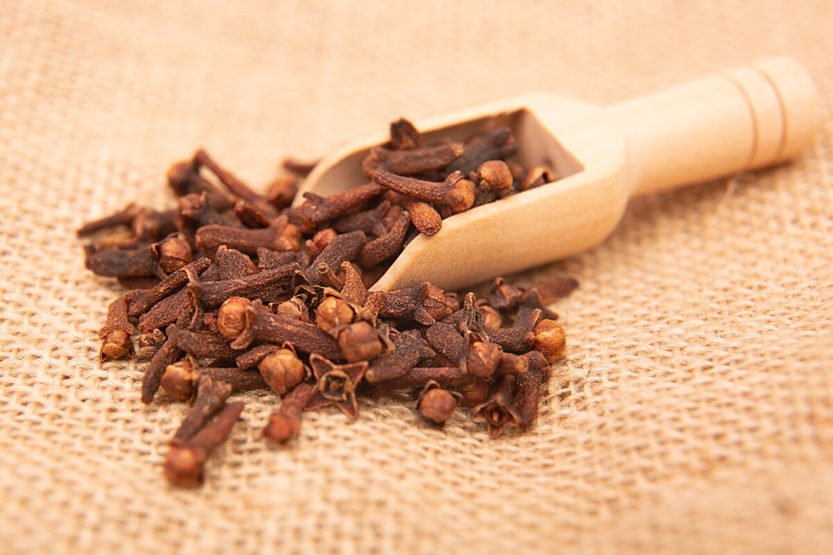 Гвоздика сушеная