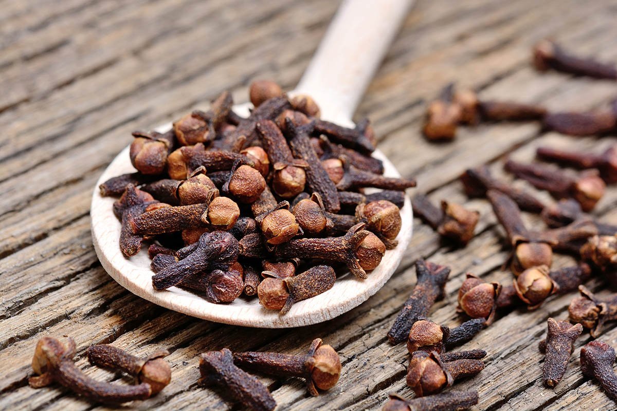 Гвоздика семена гвоздичного дерева