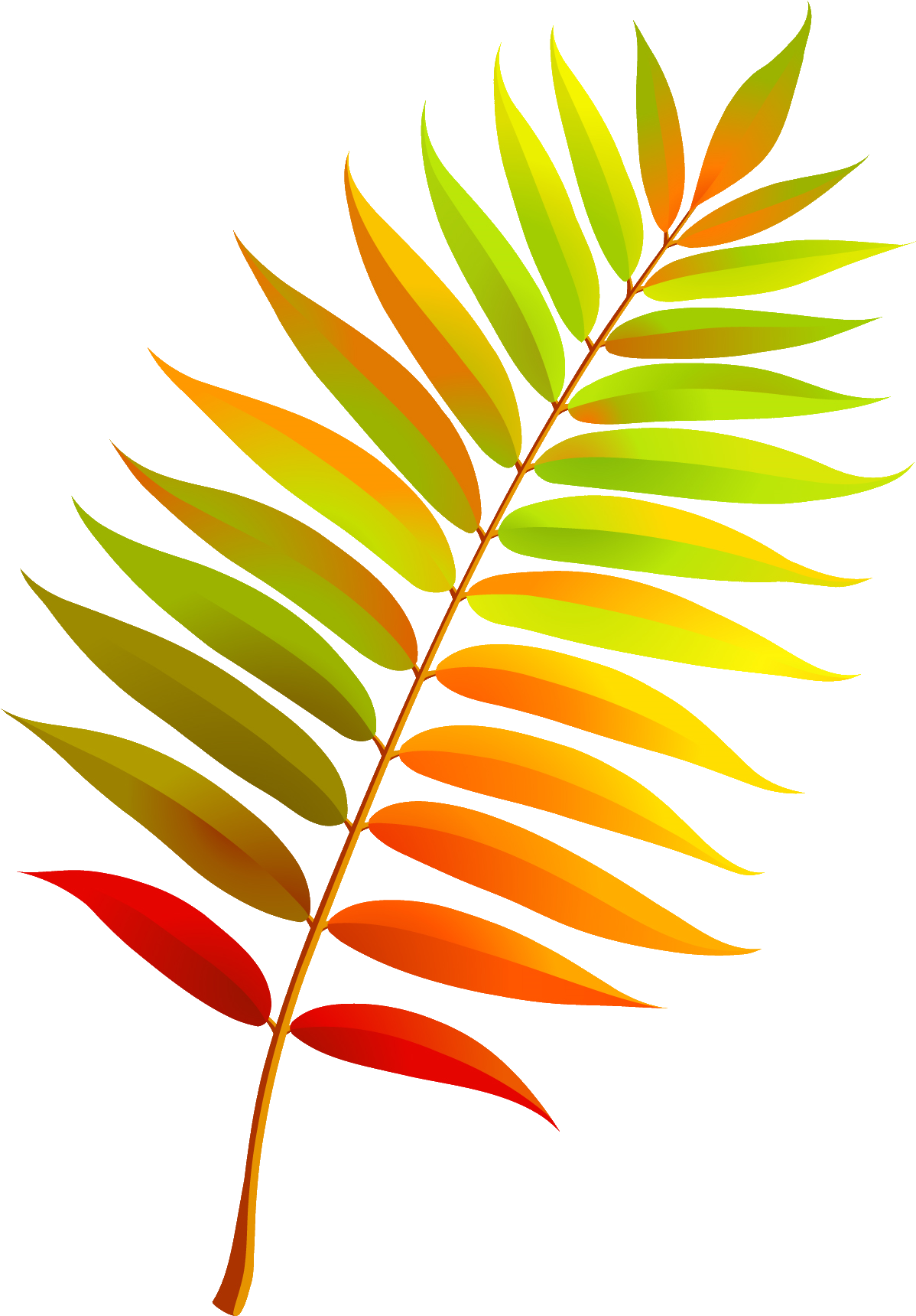 Зеленый лист рябины