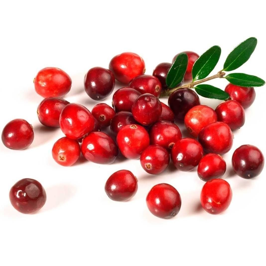 Брусника ягода