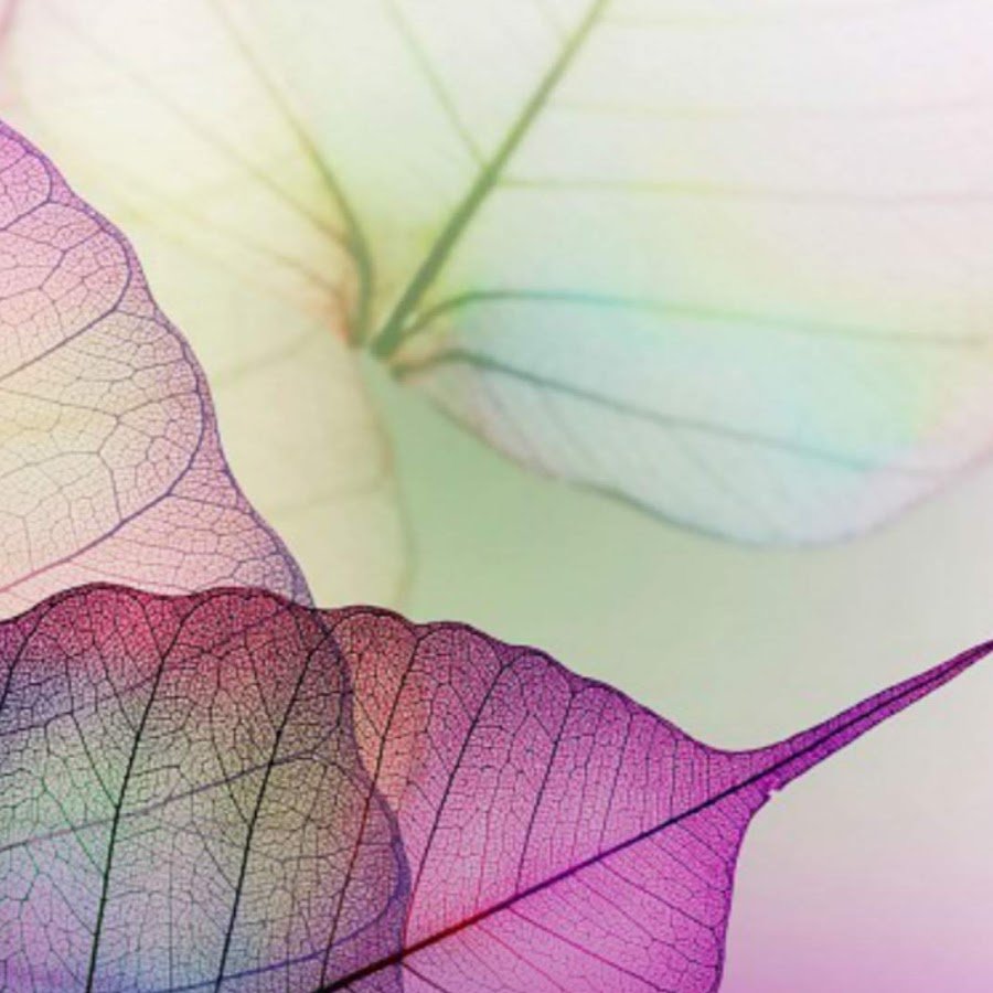 Клубника картинки красивые с капельками воды