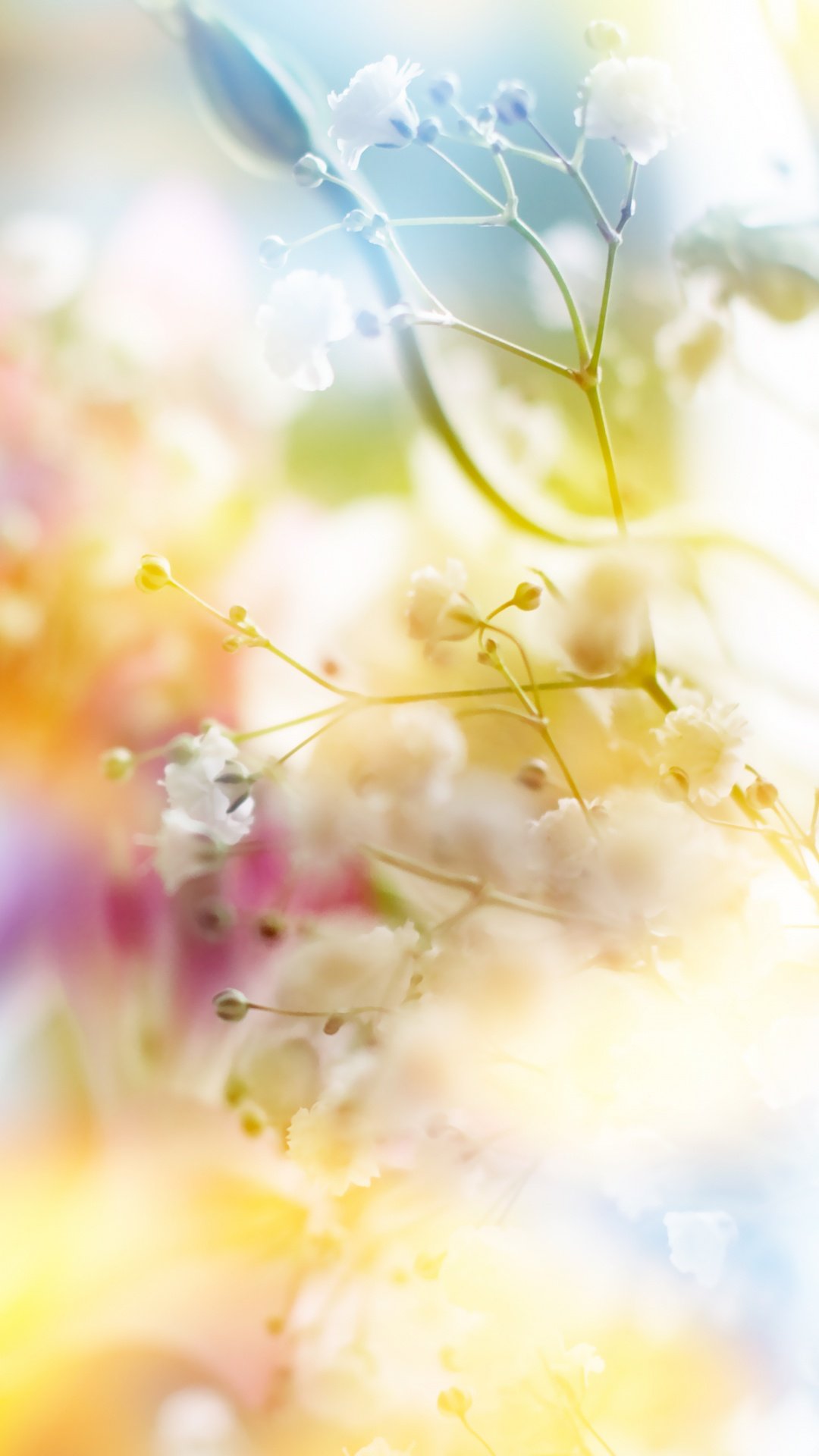 Заставки на главный экран телефона