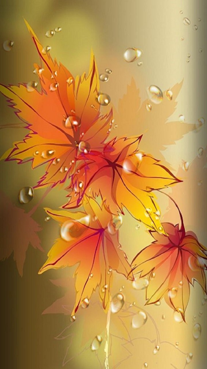 Открытка "бабочки"