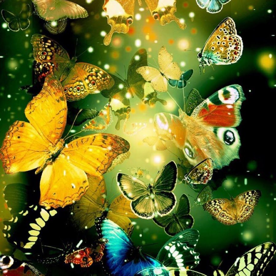 Божья коровка на травинке