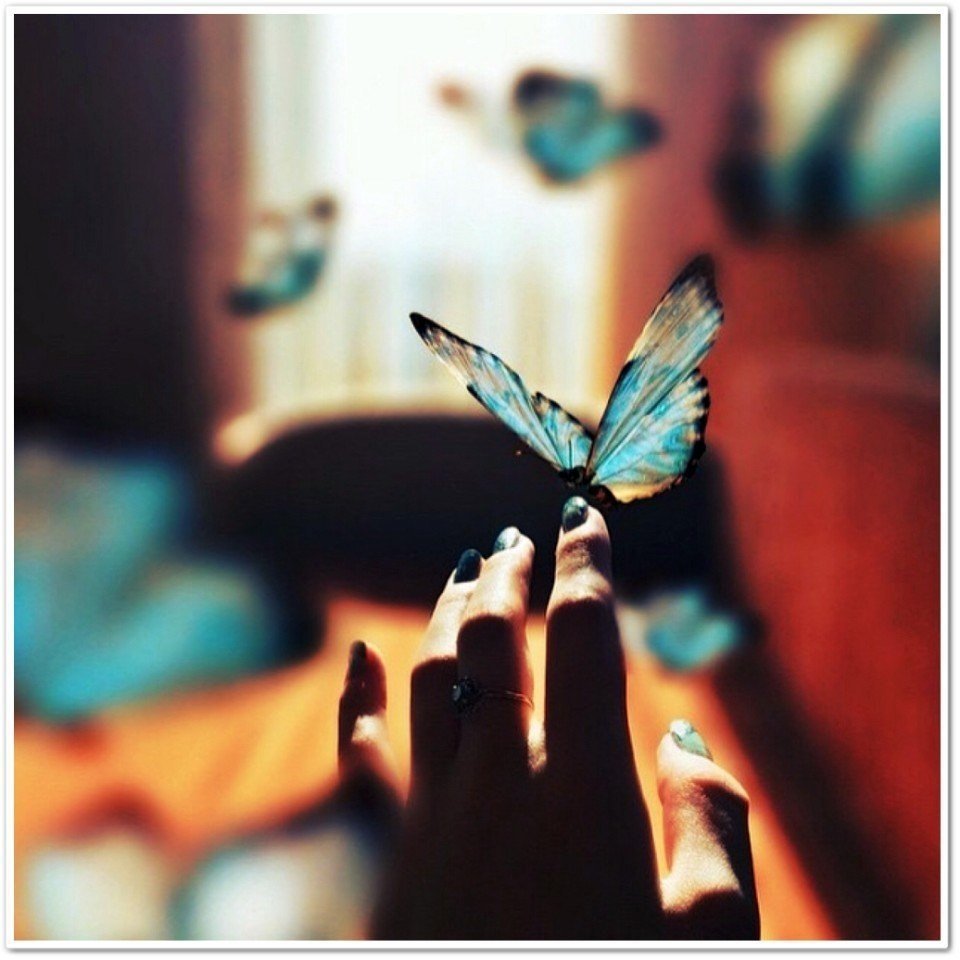 Челядник Василий