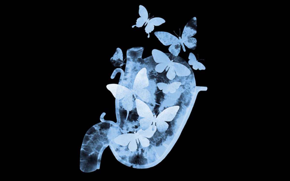 Бабочки в животе