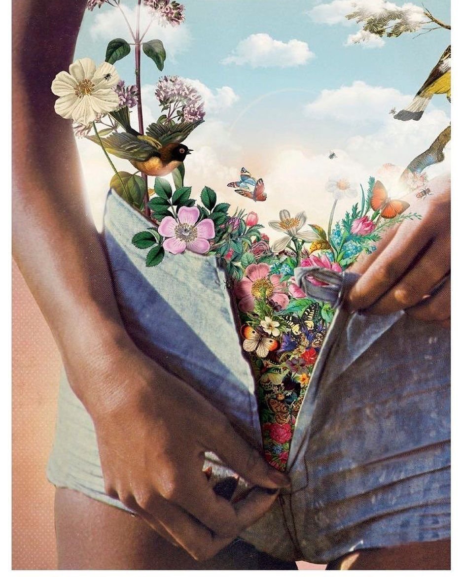 Картина бабочки в животе