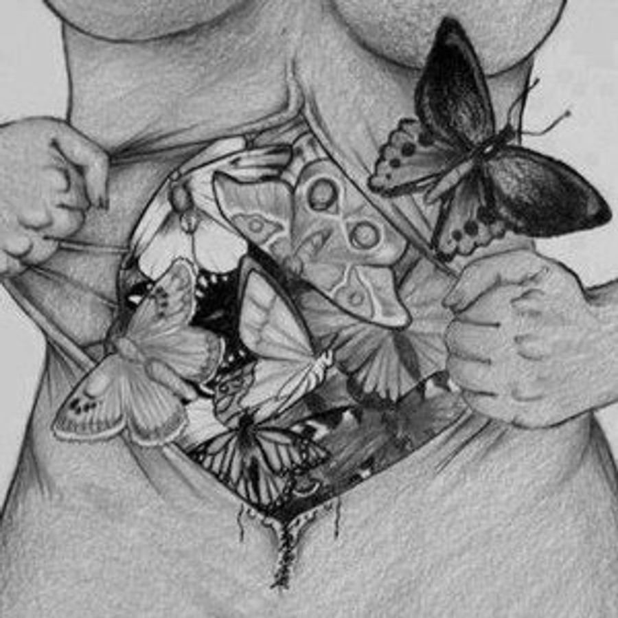 Бабочки Эстетика