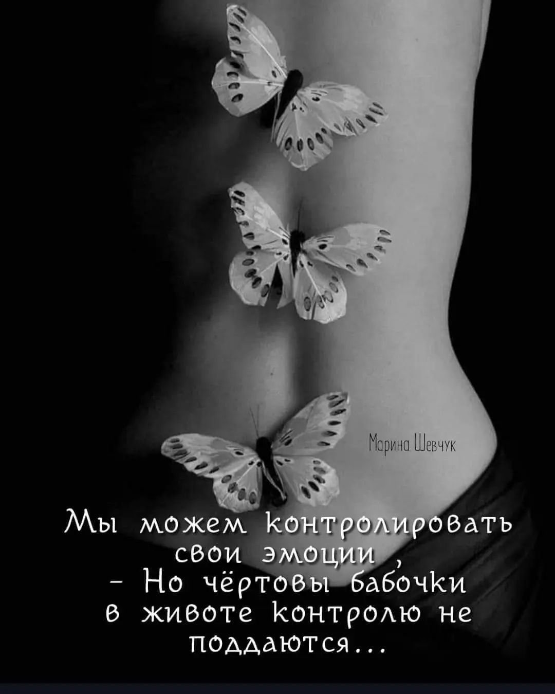 Берегите своих бабочек