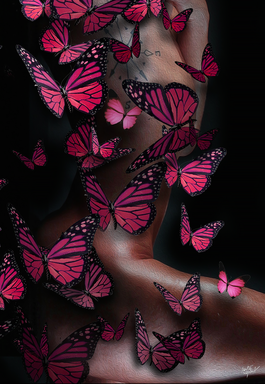 Бабочки любовь