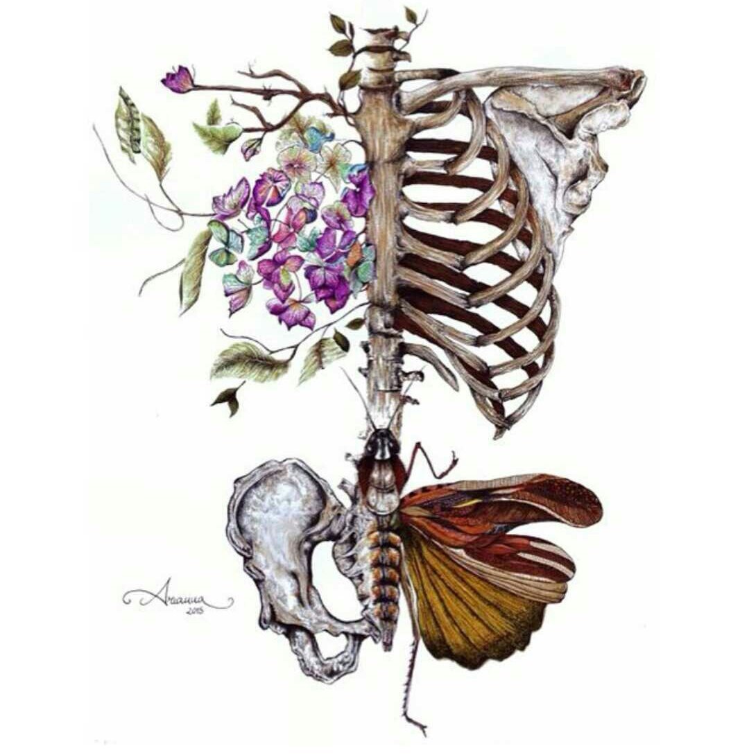Картина бабочки в животе