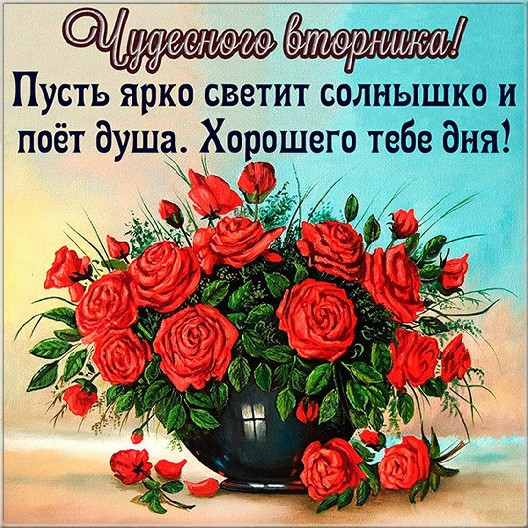 С добрым утром вторника