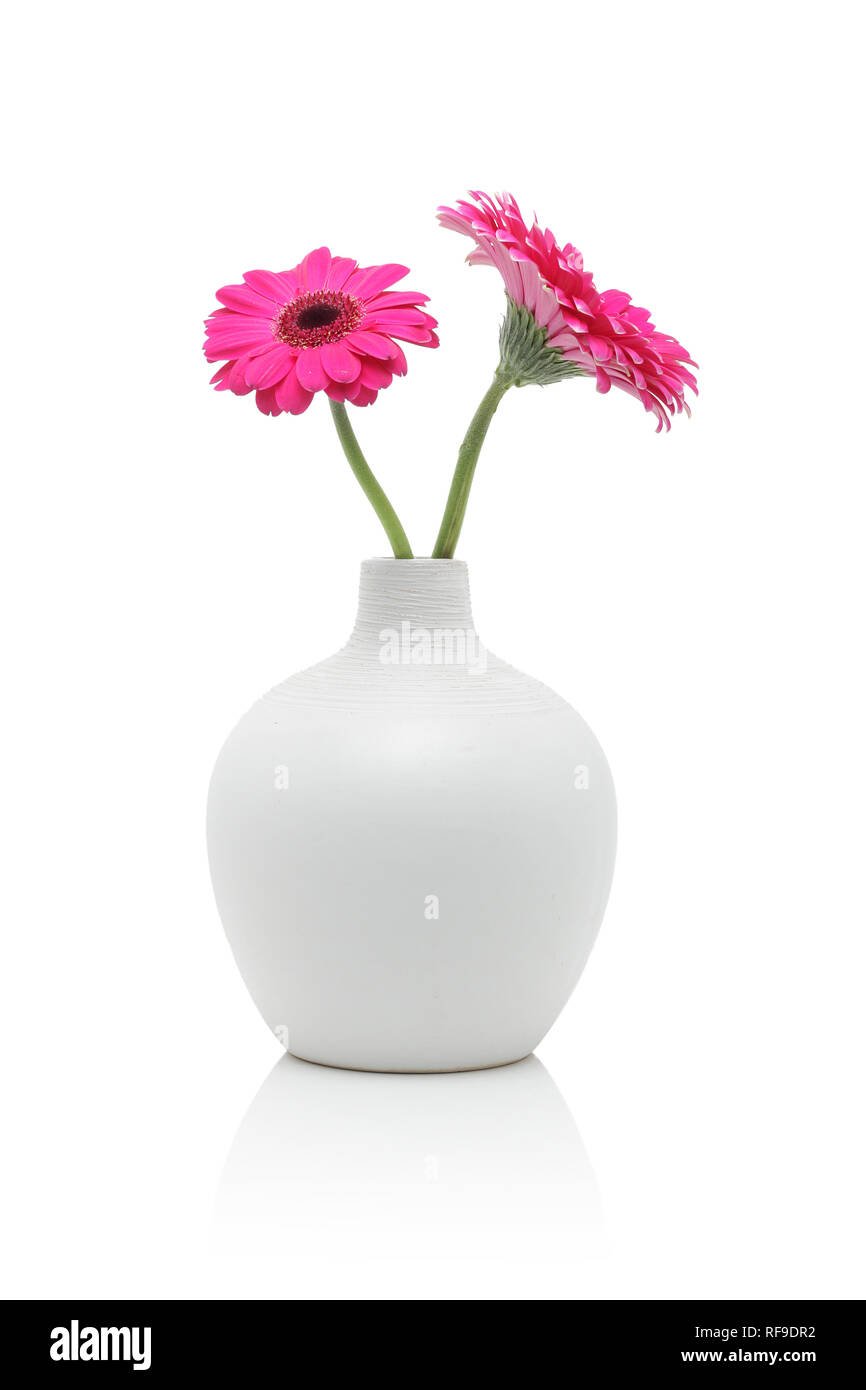 Герберы бело розовые в вазе