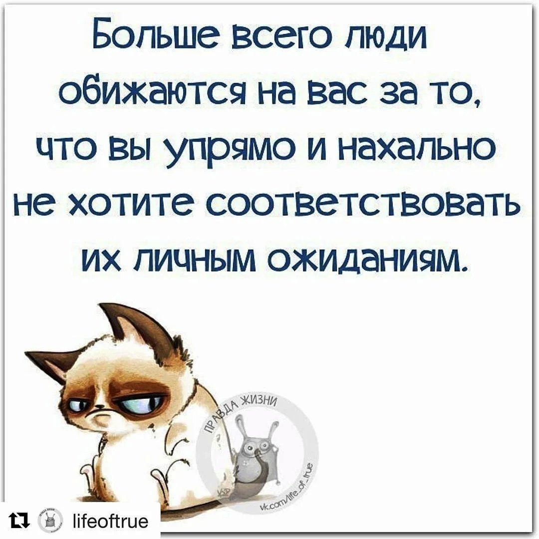 Правда жизни цитаты