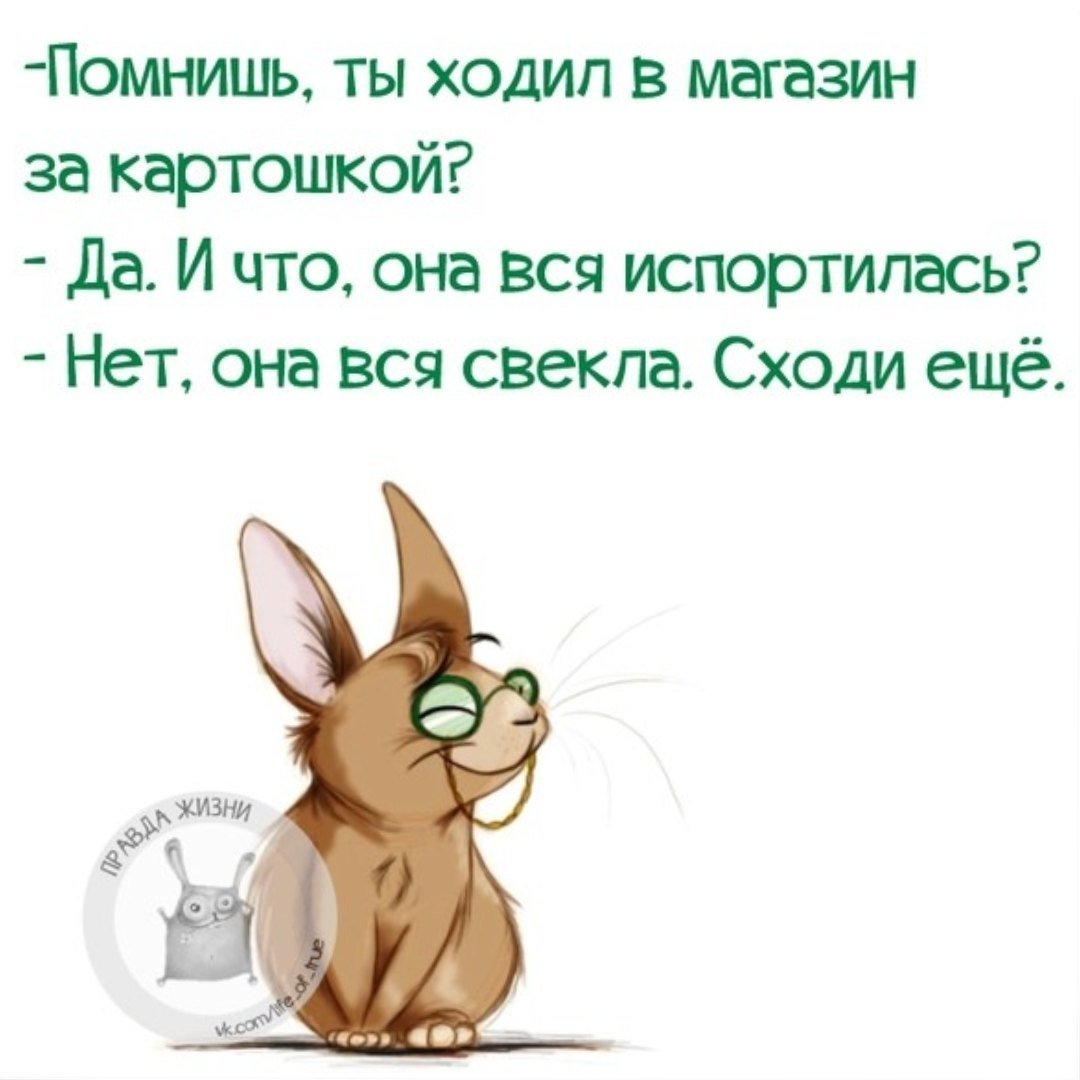 Прикольные фразы для поднятия настроения в картинках