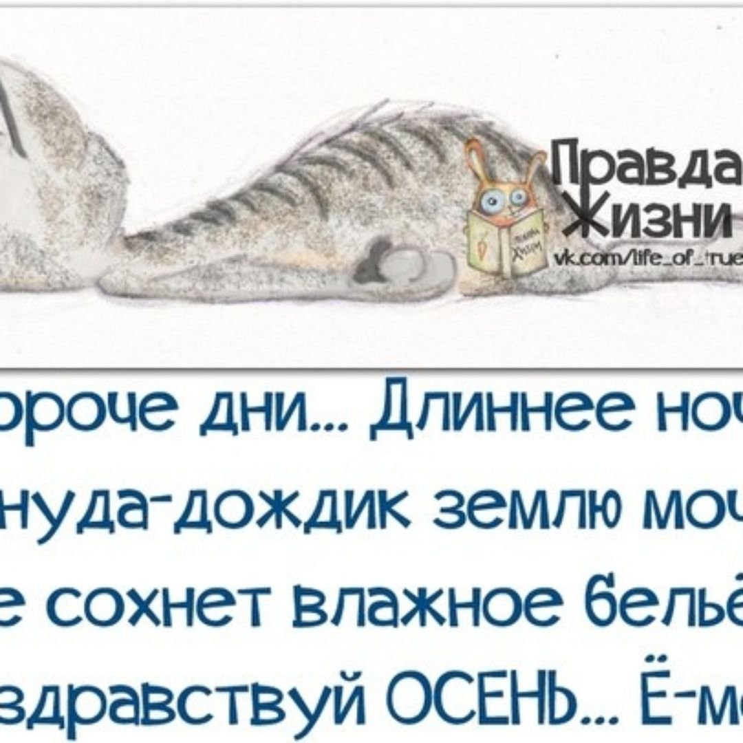 Открытки правда жизни