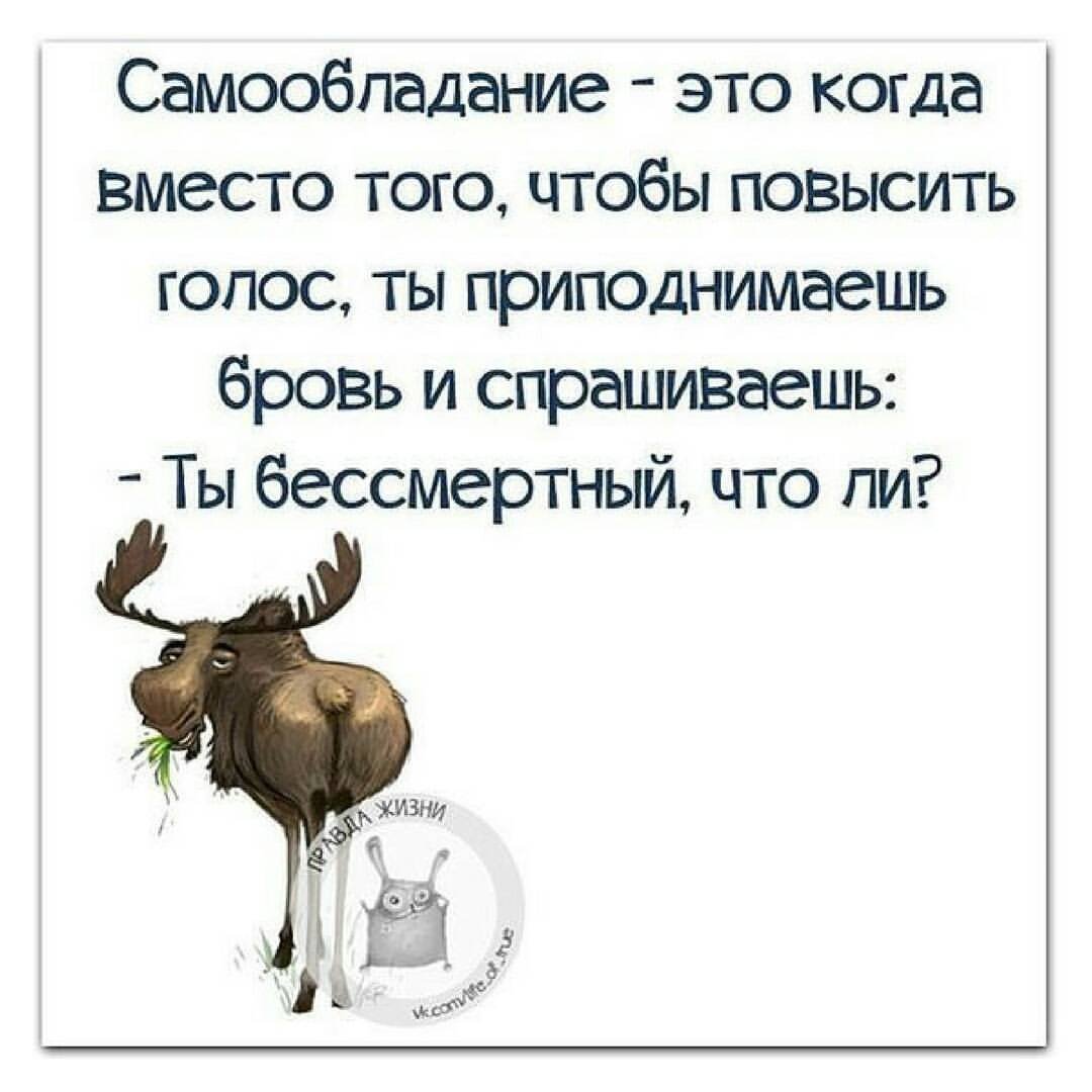 Правда жизни цитаты