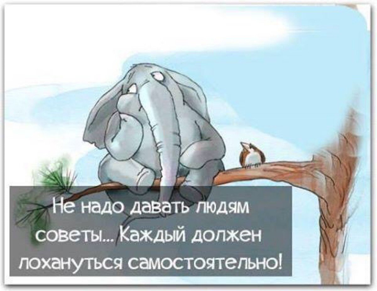 Каждый должен лохануться самостоятельно