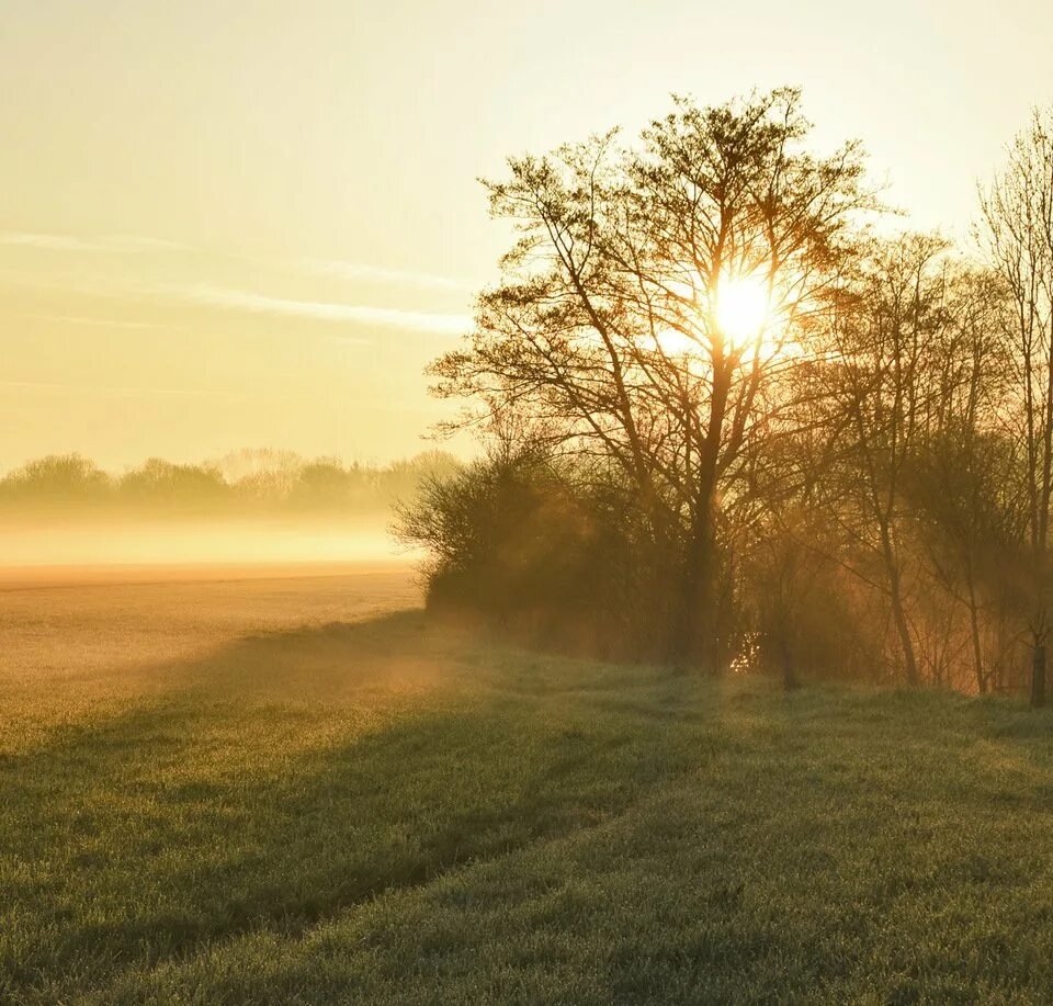 Утро природа