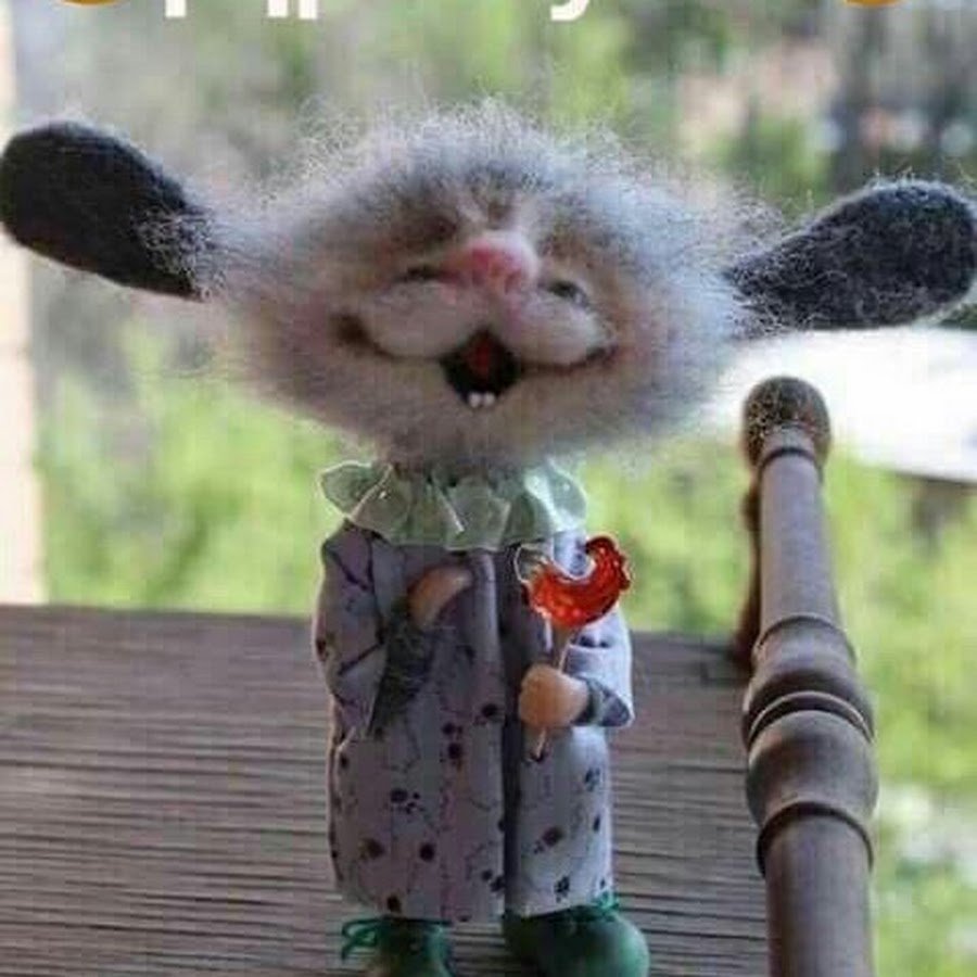 Утро просыпается