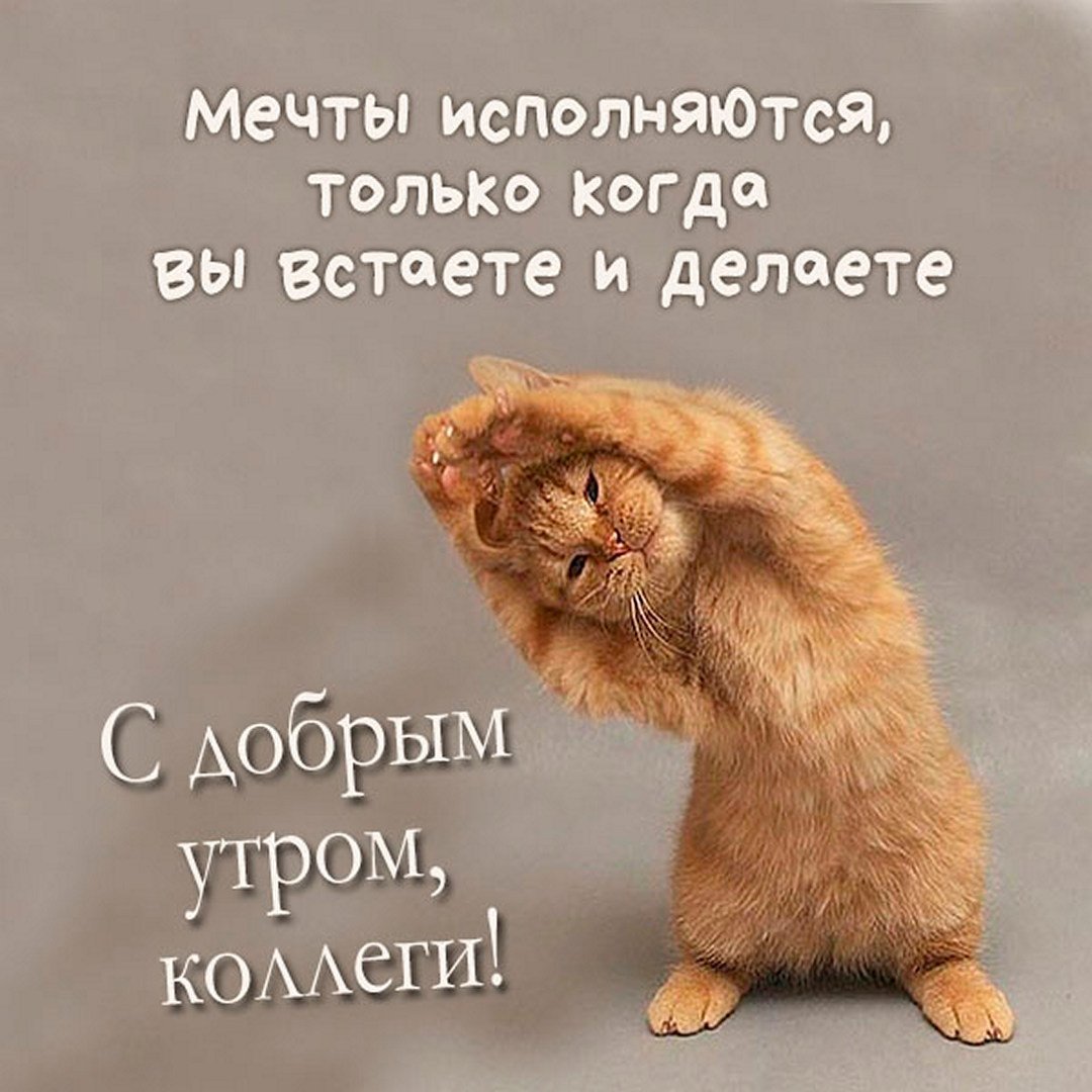 Открытки с добрым утром