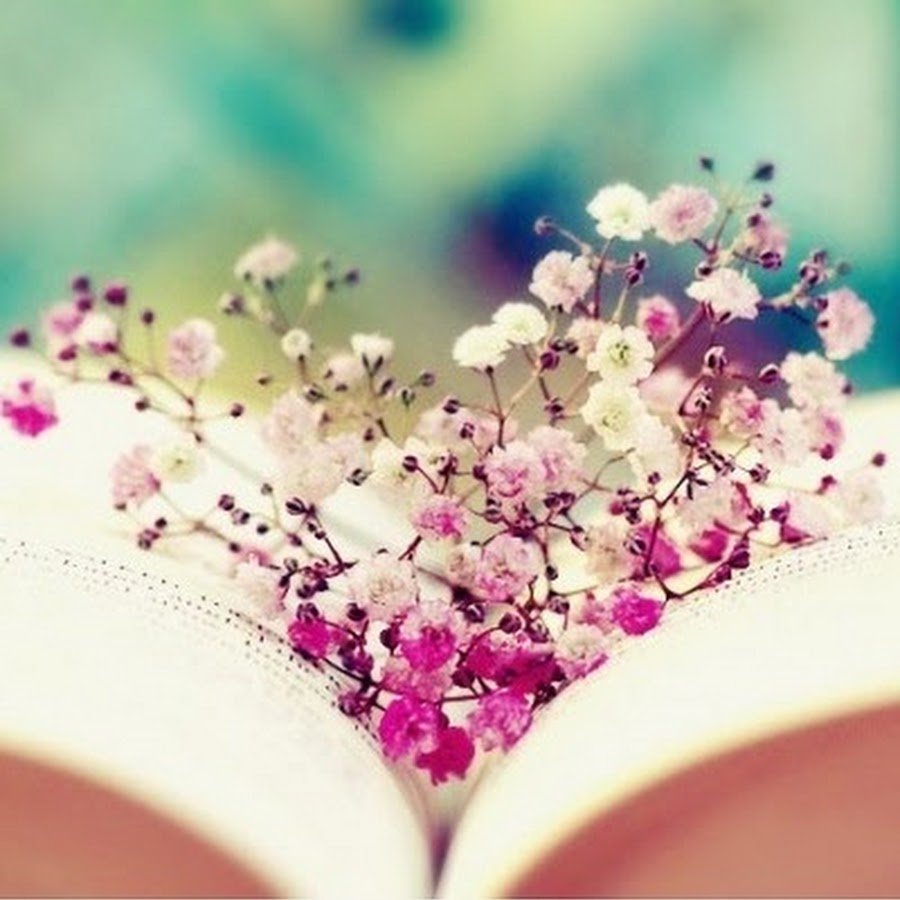 Весна цветы любовь