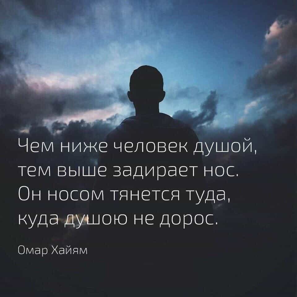 Красивые цитаты