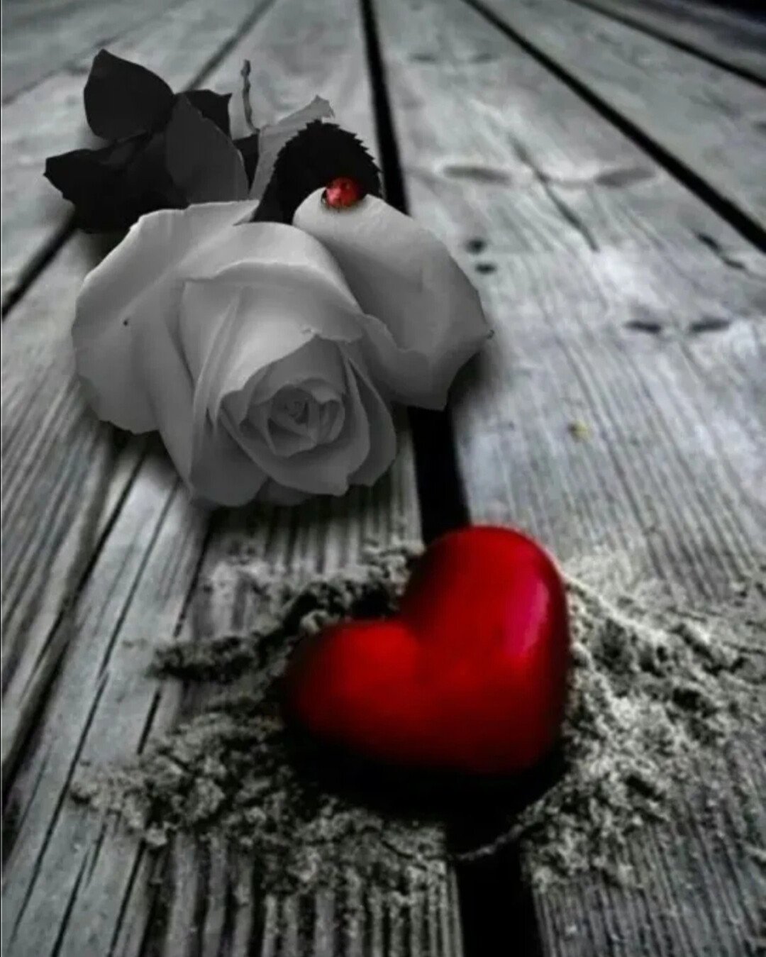 Одиночество в сердце