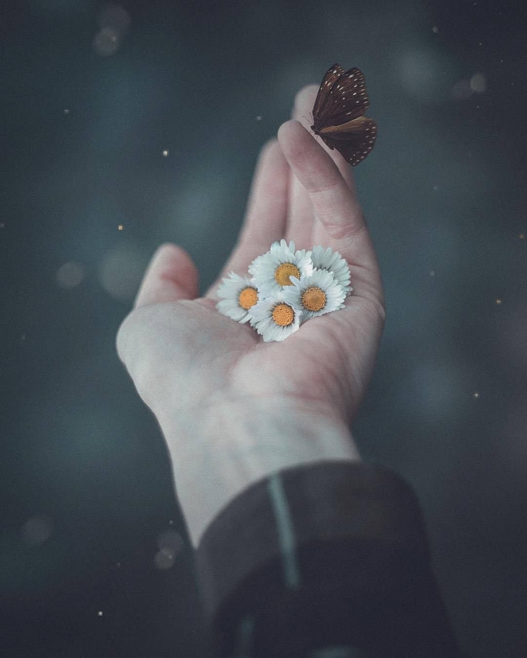 Цветы на статус в ватсап