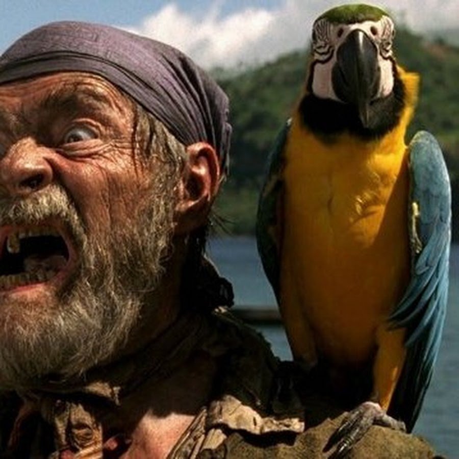 Пираты Карибского моря попугай