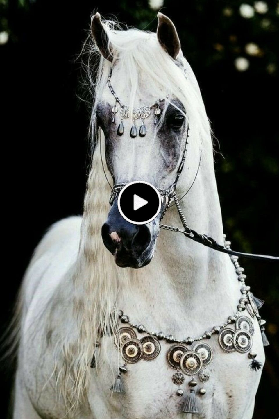 Жду принца на белом коне