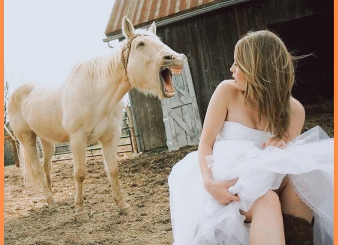 Анекдот про Золушку