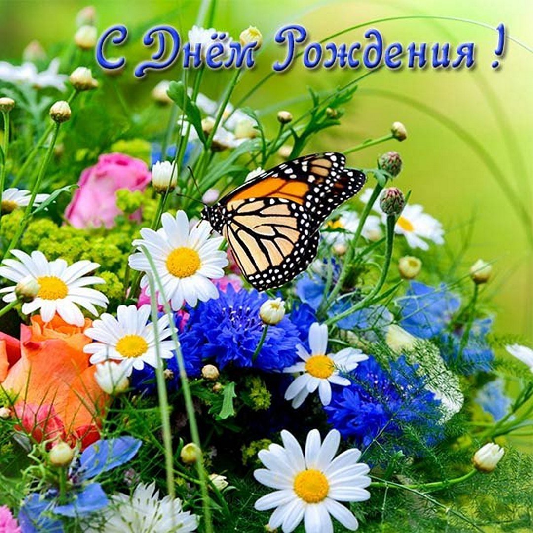 Ромашки и васильки