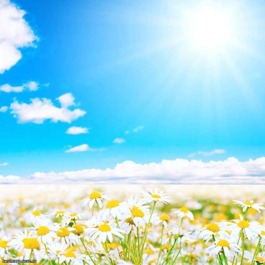 Поздравления с днём рождения сына