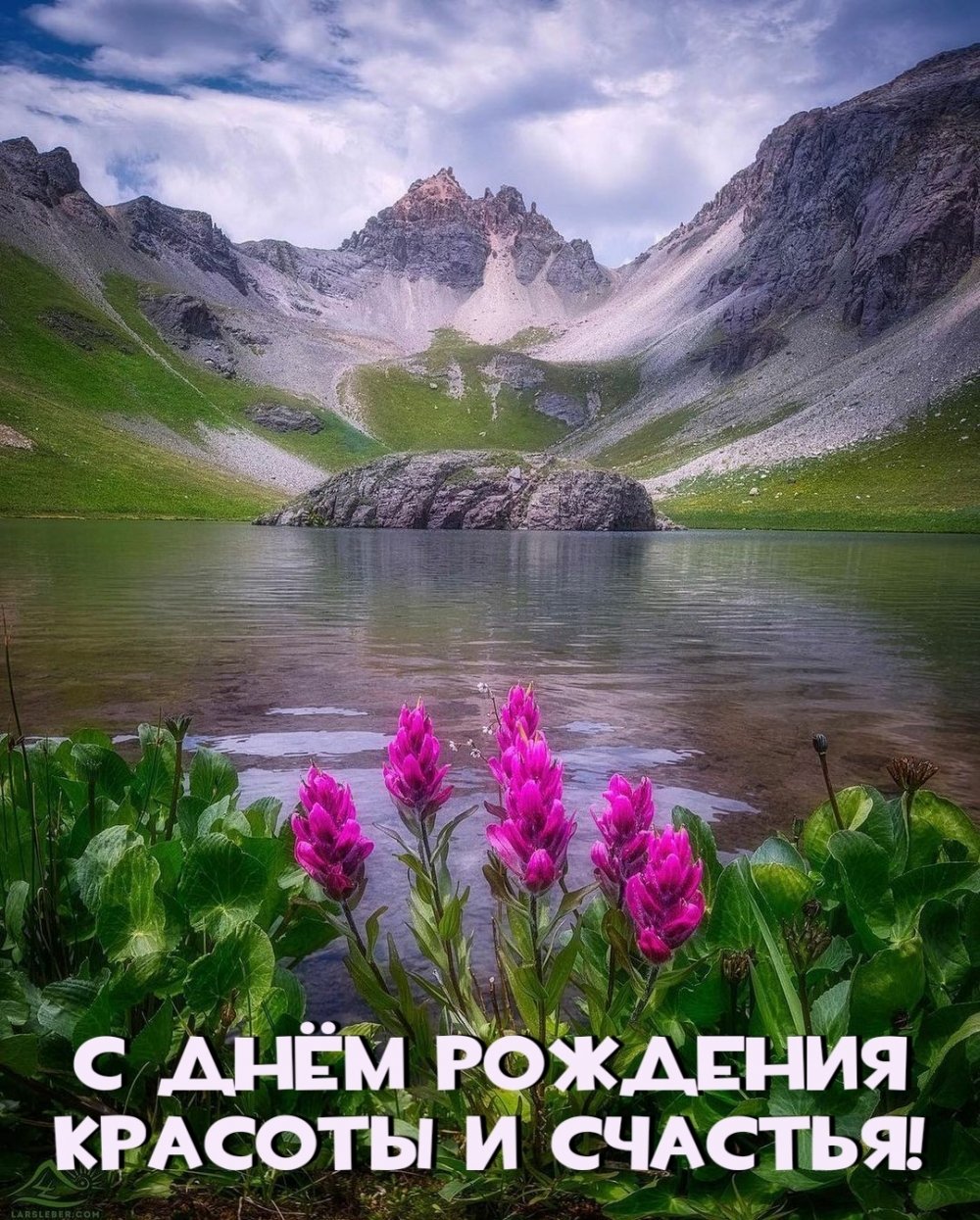 Горный цветок